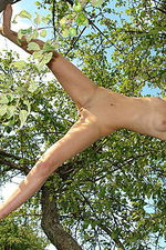 Brunette Teen Naked On Trees 15