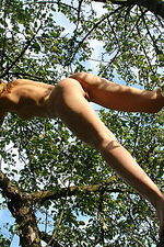 Brunette Teen Naked On Trees 18