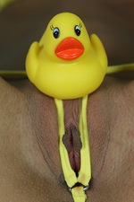 The duck and the yellow bikini 08