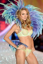 Sexy Supermodel Lindsay Ellingson 10