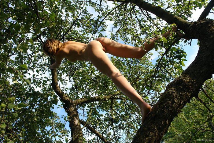Brunette Teen Naked On Trees