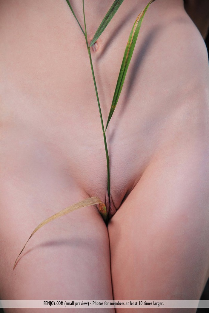 Night Poses Naked Outdoors