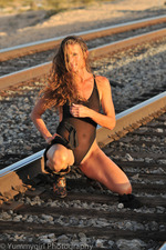 Sheer One Piece Rail Road Track 04